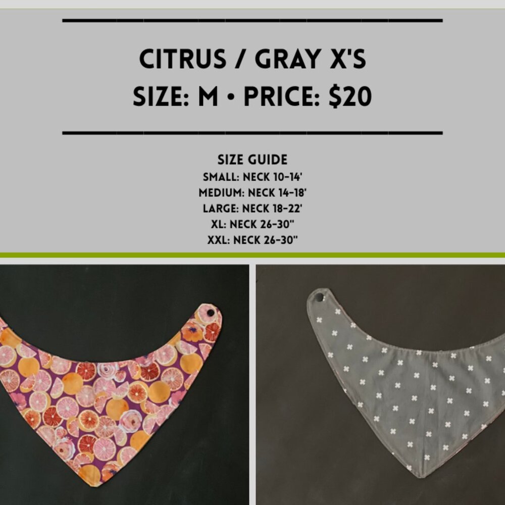 *NOW FOR $15* Citrus Bandana- Medium 14-18" W/ DISCOUNT SHIPPING